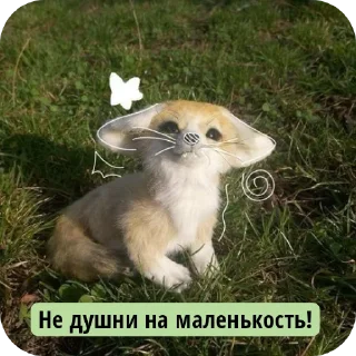 🐶 emoji Лисичка Telegram sticker 5 of 13