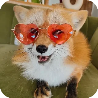 🐶 emoji Лисичка Telegram sticker 6 of 13