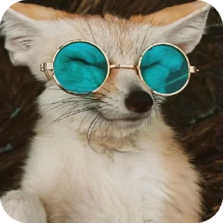 🐱 emoji Лисичка Telegram sticker 7 of 13