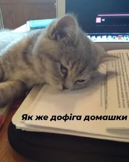 😵‍💫 emoji Стопнон Telegram sticker 23 of 51