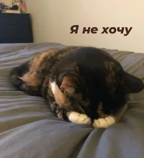 😔 emoji Стопнон Telegram sticker 15 of 51