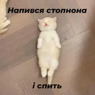 😴 emoji Стопнон Telegram sticker 2 of 51