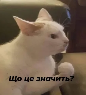 😡 emoji Стопнон Telegram sticker 11 of 51