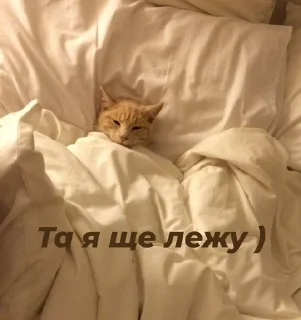 😁 emoji Стопнон Telegram sticker 10 of 51