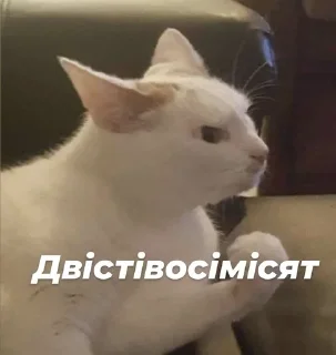 🤌 emoji Стопнон Telegram sticker 17 of 51
