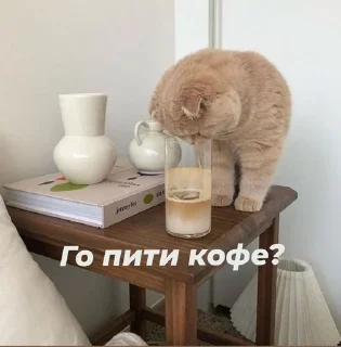 ☕️ emoji Стопнон Telegram sticker 8 of 51