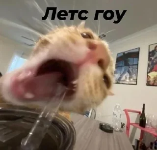 🤩 emoji Стопнон Telegram sticker 14 of 51