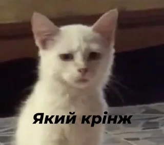 😦 emoji Стопнон Telegram sticker 21 of 51