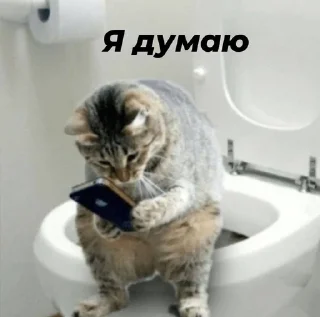 🧻 emoji Стопнон Telegram sticker 9 of 51