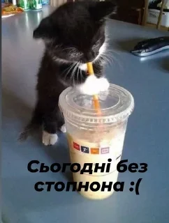 😥 emoji Стопнон Telegram sticker 7 of 51