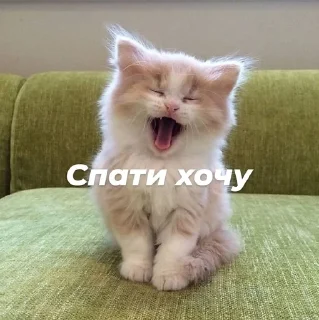 😪 emoji Стопнон Telegram sticker 22 of 51