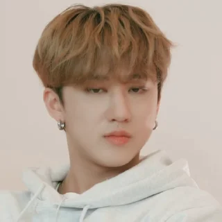 Sticker from SKZ