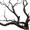 🌳 emoji ★.• Coraline ⋆｡𖦹
@sandra_diary Telegram sticker 7 of 200