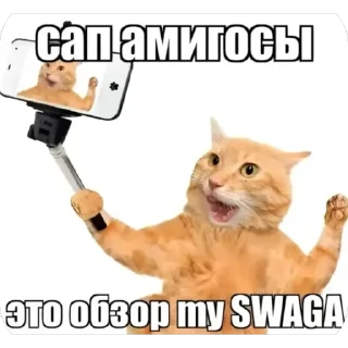 🫥 emoji СТИКЕРЫ ЛЫМЮКСЮ ОБЕЗГЛАВЛЕНО Telegram sticker 21 of 118