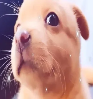 🌟 emoji СТИКЕРЫ ЛЫМЮКСЮ ОБЕЗГЛАВЛЕНО Telegram sticker 3 of 118
