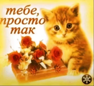 🌟 emoji кошки приятные пожелания пикчи Telegram sticker 5 of 53