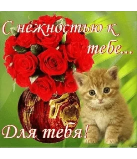 🌟 emoji кошки приятные пожелания пикчи Telegram sticker 19 of 53