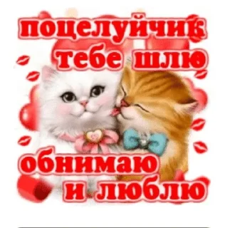 🌟 emoji кошки приятные пожелания пикчи Telegram sticker 15 of 53
