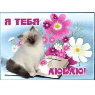 🌟 emoji кошки приятные пожелания пикчи Telegram sticker 18 of 53