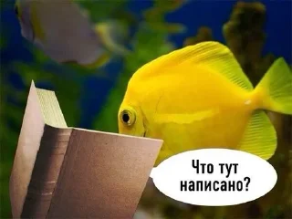 🧐 emoji рыбы.. :: @morokkkkkkk Telegram sticker 8 of 9