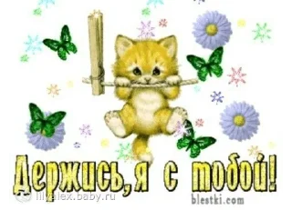🌟 emoji кошки приятные пожелания пикчи Telegram sticker 24 of 53