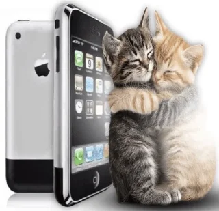 🌟 emoji кошки приятные пожелания пикчи Telegram sticker 13 of 53