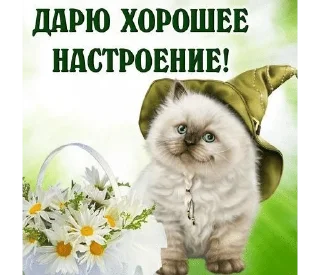 🌟 emoji кошки приятные пожелания пикчи Telegram sticker 17 of 53