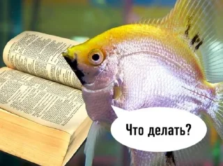Sticker from Рыбы читалки