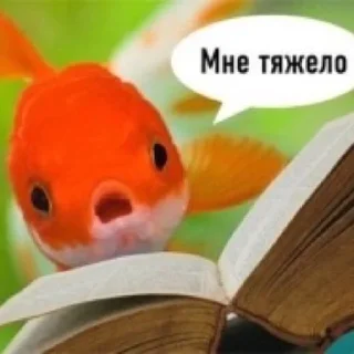Sticker from Рыбы читалки
