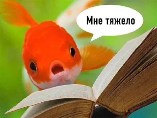 😫 emoji рыбы.. :: @morokkkkkkk Telegram sticker 6 of 9