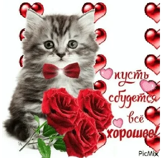 🌟 emoji кошки приятные пожелания пикчи Telegram sticker 23 of 53