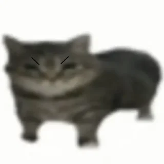 😠 emoji котики как смысл жизни Telegram sticker 7 of 65