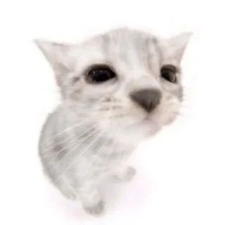 котики как смысл жизни sticker 1