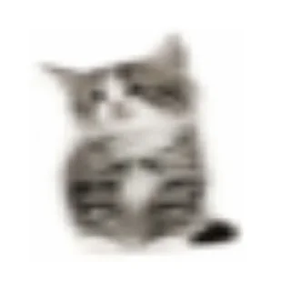 🙄 emoji котики как смысл жизни Telegram sticker 21 of 65