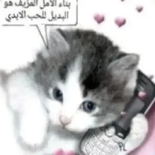 💘 emoji котики как смысл жизни Telegram sticker 23 of 65