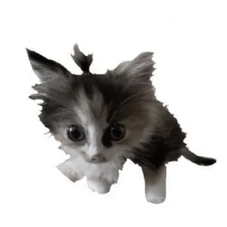 🫥 emoji котики как смысл жизни Telegram sticker 5 of 65