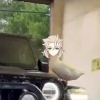 🦆 emoji ``осторожно: детки Telegram sticker 6 of 11
