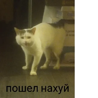 Sticker from Что-то