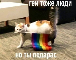 🏳‍🌈 emoji Что-то :| Telegram sticker 17 of 104