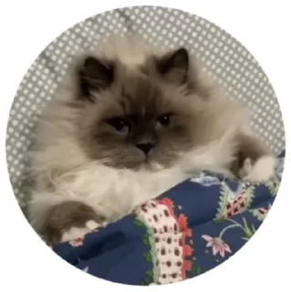 Sticker from Что-то