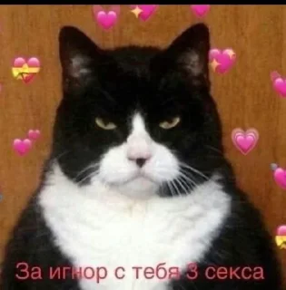 😌 emoji ^kitty.^ Telegram sticker 12 of 30