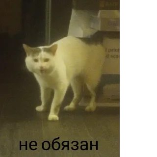 Sticker from Что-то