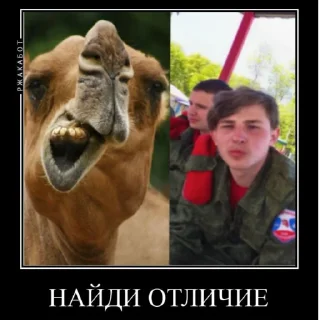 Sticker from Последняя обнова