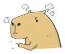 Sticker from Hey Capibara!