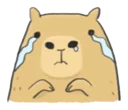 Sticker from Hey Capibara!