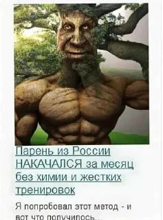🟧 emoji мудрое дерево адопт ми Telegram sticker 10 of 60