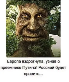🟧 emoji мудрое дерево адопт ми Telegram sticker 9 of 60