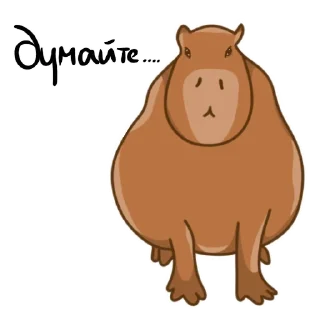 🤔 emoji Капи Telegram sticker 10 of 17