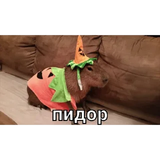 👺 emoji капи Telegram sticker 6 of 41
