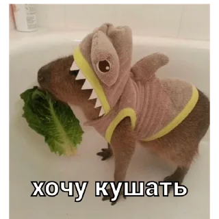 🍔 emoji капи Telegram sticker 17 of 41